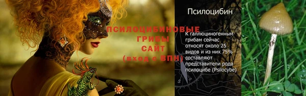 2c-b Слюдянка