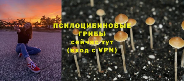 трава Алексин