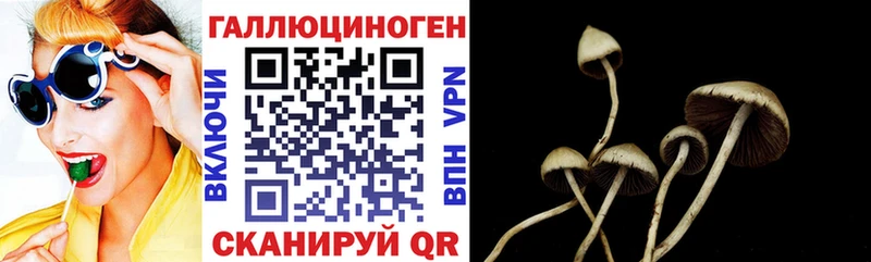 Галлюциногенные грибы Psilocybine cubensis  магазин продажи   Дно 